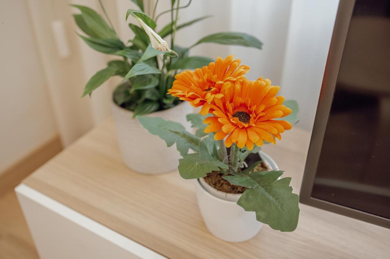 Modern Trindade By Homing Apartment Porto Bagian luar foto